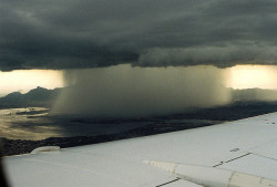 deletingmyself:  untitled (by palpebra)