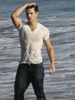 (via Taylor Lautner To Star In Indie Film, New ‘Breaking Dawn’ Footage Released | 1 | Socialite Life)