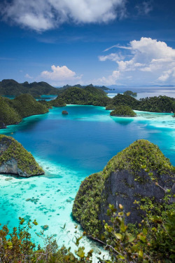 touchdisky:   Wayag Island, Papua, Indonesia by Leepixels  