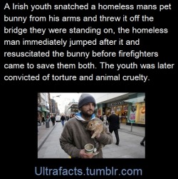 ultrafacts:  His name: John Byrne (bunny owner)  SourceFollow