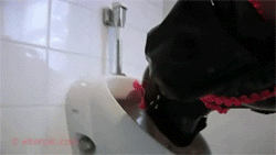 rubberdollowner:  http://rubberdollowner.tumblr.com I absolutely adore the rubber doll maid in this set of Gifs. The eyes are so very expressive, the look of “What?!?!” to “Oh, oh” and the “Deer in the headlights” expression is precious. 