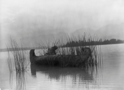  Edward Sheriff Curtis     Kootenai Rush Gatherer     c.1910