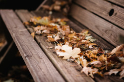 bookofoctober:    Photo by Gabriela Tulian   