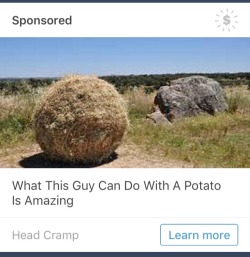 thatrandomfiend:tumblr i am begging you to let me reblog ads