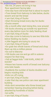 4chansbest:  Karl, king of ducks 