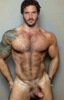 furryhotbears:  