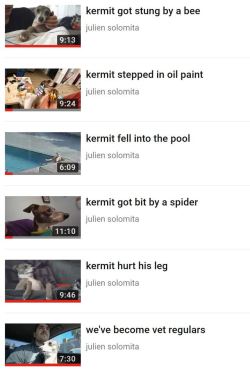 lesbiangodofthunder:  it’s always kermit™
