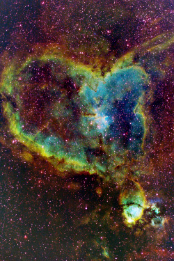 weareallstarstuff:  Heart Nebula 