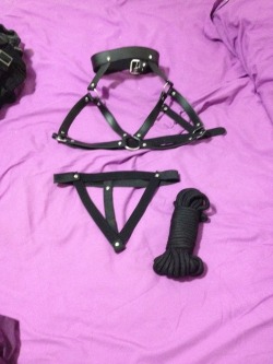 irascorpious:  New pretties arrived today~ new rope and a leather