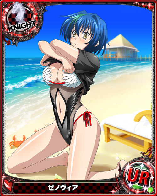 levantein:  Summer Hols is Here !!!And I share you all most beautiful girls of Highschool DxD.