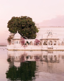 venusverticordias:Taj Lake Palace, Udaipur, India | Chelsaeanne