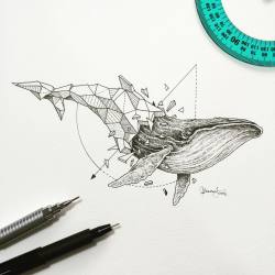 culturenlifestyle:  Intricate Geometric Animal Illustrations