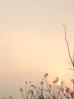 shortelf:the sky after light rain