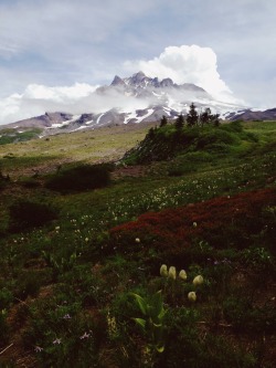 theoregonscout:  Mt. Hood wilderness, Oregon 