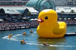 The art of whimsy (a 15-metre/49-foot tall rubber duck floated