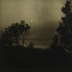 dame-de-pique: Max Dupain - Night Scene, 1937 