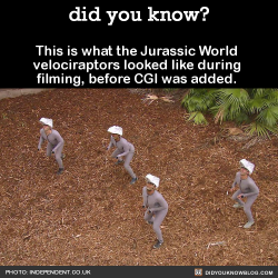 did-you-kno:  This is what the Jurassic World velociraptors looked