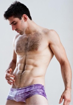 The Better Bulge