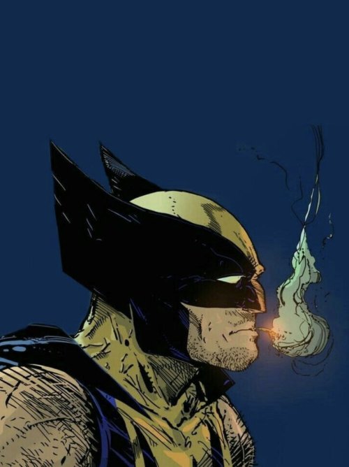 wolverineholic:  by  Randy Doucette  