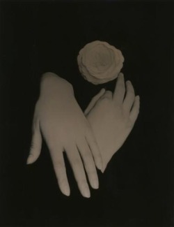 zzzze:  Masao Yamamoto Untitled, (from the series Kawa=Flow 1639),