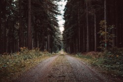 ourlifeintransit:  The road less travelled | Germany 