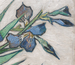 dappledwithshadow:  Detail from Irises, Vincent van Gogh 1890