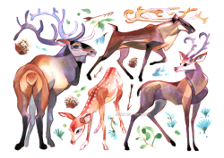 mariposa-nocturna:  Deers, foxes, owls and japanese dogs done