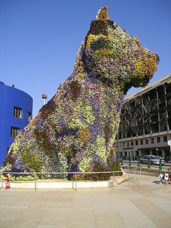 Jeff Koons, Puppy, 1992