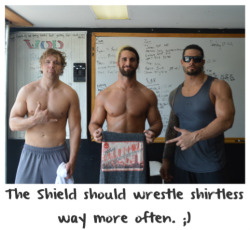 wrestlingssexconfessions:  The shield should wrestle shirtless