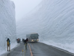 stunningpicture:What 60 feet of snow cleared in Japan looks like.