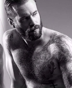 hairyhotman:  http://hairyhotman.tumblr.com/
