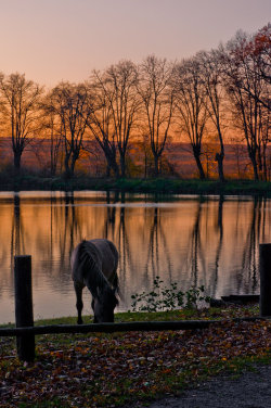 uno splendido dipinto fotografico… autunnale!!  thewolf