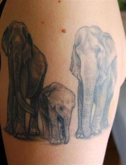 tattooedbodyart:  159 Charming Elephant Tattoos Ideas: http://dopily.com/159-charming-elephant-tattoos-ideas/image