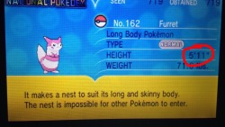 elitefourfairytype:Did anyone else notice that furret’s height,