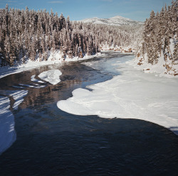 petalier:hot springs in a cold winter, part one by manyfires