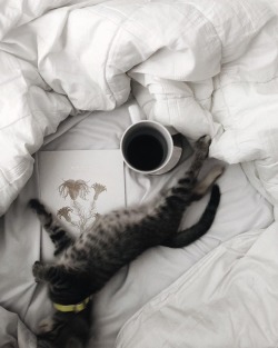 Via https://web.stagram.com/hintsofgray