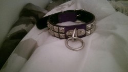bdsmpetplay:I got complimented on my collar by a fellow artist