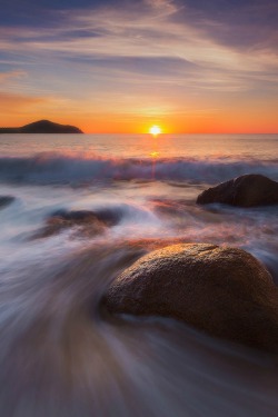 sundxwn:  King Swirl by Dylan Toh & Marianne Lim