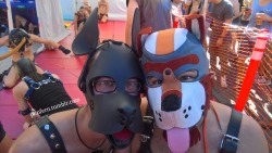 Moshing with Pup Gear at Folsom Street Fair!Find him at http://recon.com/enen