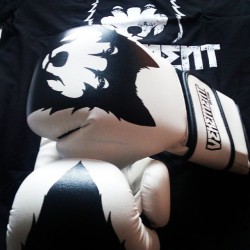 muaythaischolar:  Beautiful new #MuayThai gloves and T-shirt