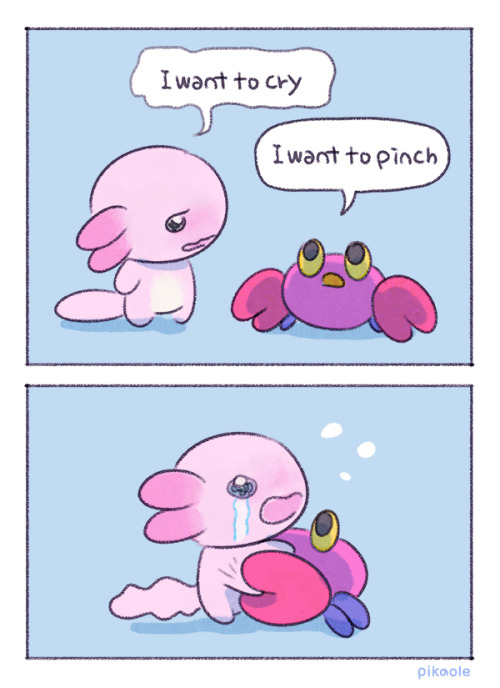 pikaole:  pikaole:As your wish Not today