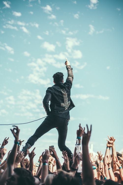 mattyvogel:  afi perth, australia website // twitter // facebook // instagram // tumblr