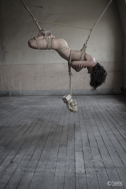 acordesetacris:  Shibari