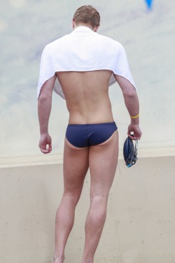 tautspeedos:  #ginger #navy #arena front and back views uh huh