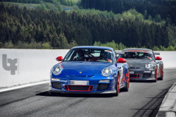 automotivated:  Which color (by Bas Fransen Photography) 