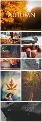 imgatheringleaves:  via Pinterest