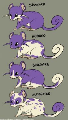 doodlekaii:  Rattata Variations! I hope they havent been done
