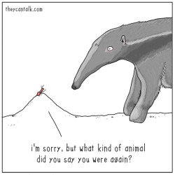 theycantalk:  the anteater