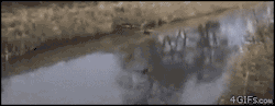 gif-guy:  http://gif-guy.tumblr.com/ 