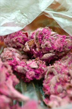 Weedomania
